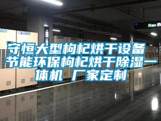 企業新聞守恒大型枸杞烘干設備 節能環保枸杞烘干除濕一體機 廠家定制