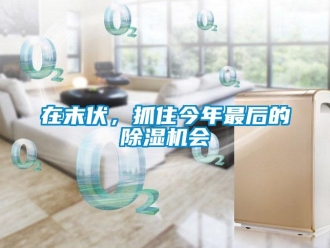 行業(yè)新聞在末伏，抓住今年最后的除濕機(jī)會(huì)