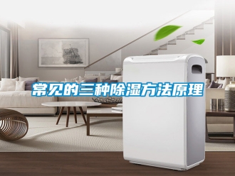 企業(yè)新聞常見(jiàn)的三種除濕方法原理