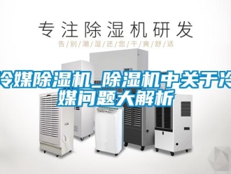 行業新聞冷媒除濕機_除濕機中關于冷媒問題大解析
