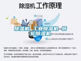 常見(jiàn)問(wèn)題除濕機(jī) 工業(yè)除濕機(jī) 轉(zhuǎn)輪除濕機(jī)