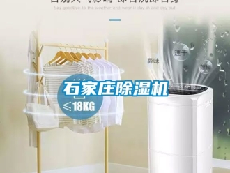 行業新聞石家莊除濕機