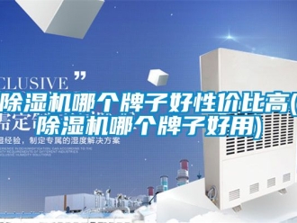 行業(yè)新聞除濕機哪個牌子好性價比高(除濕機哪個牌子好用)