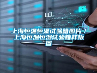 知識百科上海恒溫恒濕試驗箱圖片／上海恒溫恒濕試驗箱樣板圖
