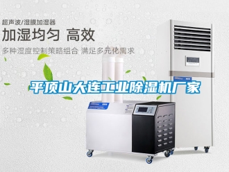 企業(yè)新聞平頂山大連工業(yè)除濕機廠家