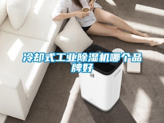 常見問題冷卻式工業除濕機哪個品牌好