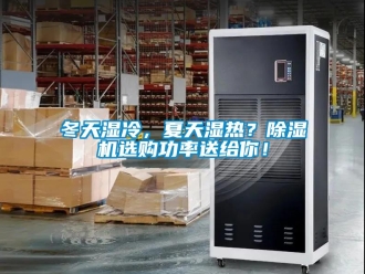 企業新聞冬天濕冷，夏天濕熱？除濕機選購功率送給你！