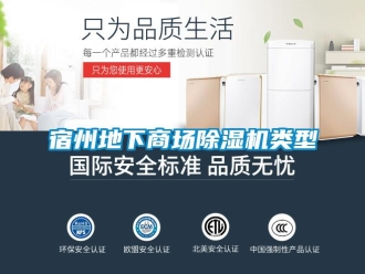 行業(yè)新聞宿州地下商場除濕機(jī)類型