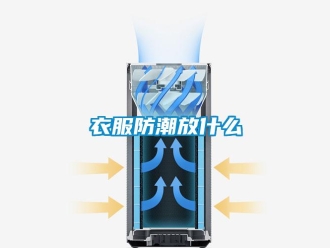 知識百科衣服防潮放什么
