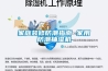 家庭裝修防潮指南 家用防潮抽濕機(jī)