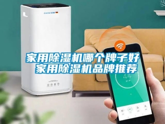 企業新聞家用除濕機哪個牌子好 家用除濕機品牌推薦