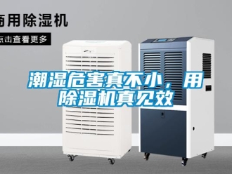 企業新聞潮濕危害真不小，用除濕機真見效