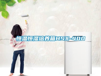 知識百科恒溫恒濕培養(yǎng)箱HSX-400