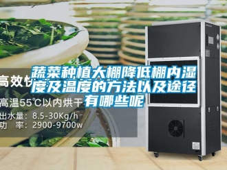 企業(yè)新聞蔬菜種植大棚降低棚內(nèi)濕度及溫度的方法以及途徑有哪些呢