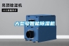 大型號(hào)智能除濕機(jī)