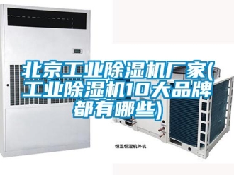 企業(yè)新聞北京工業(yè)除濕機廠家(工業(yè)除濕機10大品牌都有哪些)