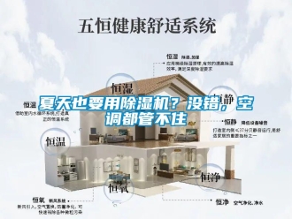 行業新聞夏天也要用除濕機？沒錯，空調都管不住