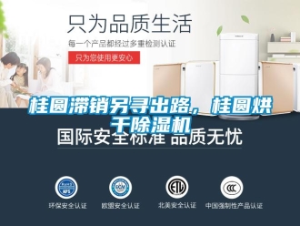 行業新聞桂圓滯銷另尋出路，桂圓烘干除濕機