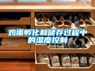 行業新聞雞蛋孵化和儲存過程中的濕度控制
