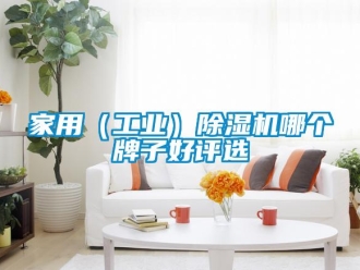 常見問題家用（工業）除濕機哪個牌子好評選