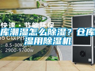 企業新聞倉庫潮濕怎么除濕？倉庫除濕用除濕機