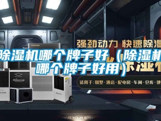 行業(yè)新聞除濕機哪個牌子好（除濕機哪個牌子好用）