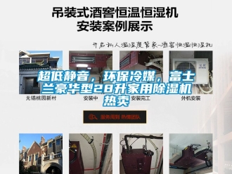 常見問題超低靜音，環保冷媒，富士蘭豪華型28升家用除濕機熱賣