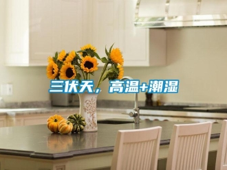 行業(yè)新聞三伏天，高溫+潮濕