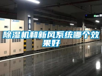 常見問題除濕機(jī)和新風(fēng)系統(tǒng)哪個效果好
