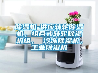 常見問題除濕機-供應轉輪除濕機，組合式轉輪除濕機組， 冷凍除濕機，工業除濕機