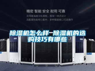 行業(yè)新聞除濕機(jī)怎么樣 除濕機(jī)的選購技巧有哪些