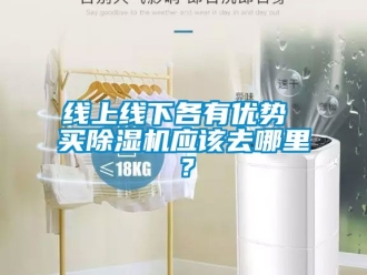 行業新聞線上線下各有優勢 買除濕機應該去哪里？