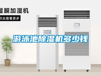 行業新聞游泳池除濕機多少錢