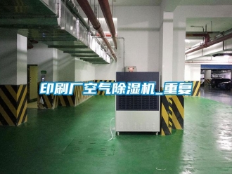 行業(yè)新聞?dòng)∷S空氣除濕機(jī)_重復(fù)