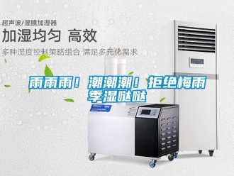 知識百科雨雨雨！潮潮潮！拒絕梅雨季濕噠噠