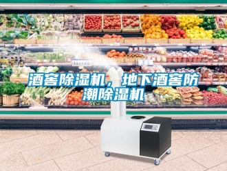 行業(yè)新聞酒窖除濕機，地下酒窖防潮除濕機