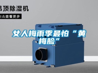 行業(yè)新聞女人梅雨季最怕“黃梅臉”