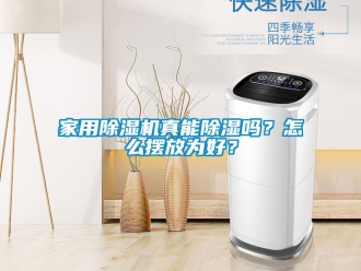常見問題家用除濕機真能除濕嗎？怎么擺放為好？