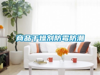 常見問題商品干燥劑防霉防潮