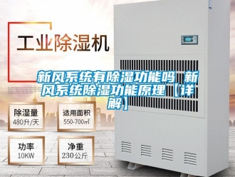 行業新聞新風系統有除濕功能嗎 新風系統除濕功能原理【詳解】