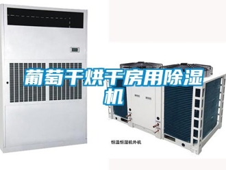 行業(yè)新聞葡萄干烘干房用除濕機(jī)