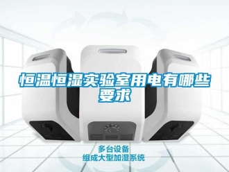 知識(shí)百科恒溫恒濕實(shí)驗(yàn)室用電有哪些要求