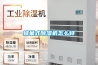 蜂巢式除濕機(jī)怎么樣