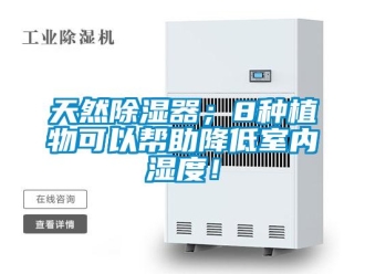 行業新聞天然除濕器；8種植物可以幫助降低室內濕度！