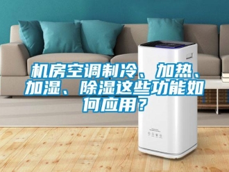 行業(yè)新聞機(jī)房空調(diào)制冷、加熱、加濕、除濕這些功能如何應(yīng)用？