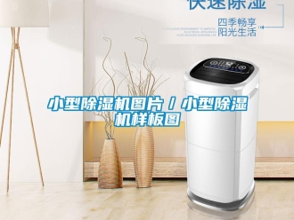 行業新聞小型除濕機圖片／小型除濕機樣板圖