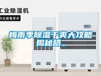 行業新聞梅雨季除濕干爽大攻略揭秘咯。