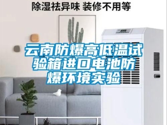 企業(yè)新聞云南防爆高低溫試驗(yàn)箱進(jìn)口電池防爆環(huán)境實(shí)驗(yàn)