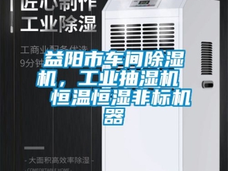 常見問題益陽市車間除濕機，工業抽濕機  恒溫恒濕非標機器