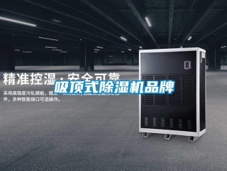 企業新聞吸頂式除濕機品牌